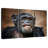 Funny Chimpanzee
