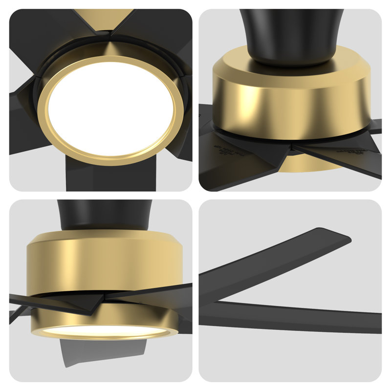 52-inch Elvert Flush Mount Ceiling Fan with LED Lights, Black/Gold
