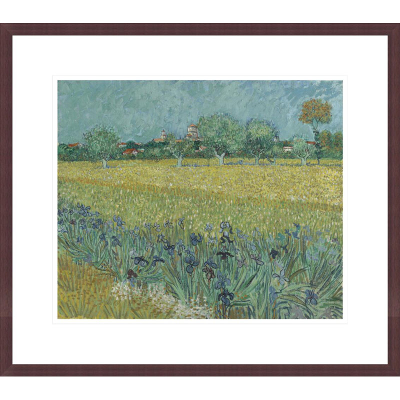 Champ avec iris près d'Arles par Vincent van Gogh, impression giclée encadrée, H 17,75 po x l 20,08 po