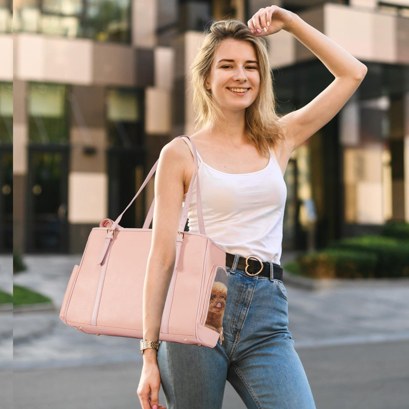 Pet Carrier, Pink
