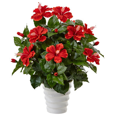 Hibiscus Arrangement in Planter