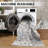 GLN Rugs Traditional Collection - Machine Washable Area Rug, Bohemian Vintage Washable Rug, Non Slip Area Rug, Low Pile Chenille Living Room Rug, Bedroom Rug, Bathroom Rug (Beige and Gray Rug)-906944587