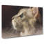 Curious Cat - Wrapped Canvas Painting-56660303