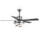 Eustolio 52'' DIY Shade Reversible Caged Ceiling Fan with Dimmable LED Light and Remote