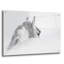 «White Horse» par PhotoINC Studio-801451719