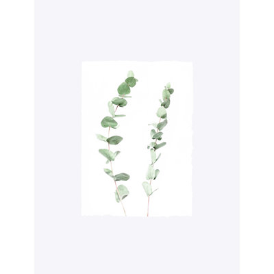 Eucalyptus délavé - reproduction sur toile tendue