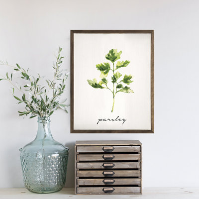 Series Herb Parsley