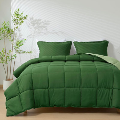 Green Queen Comforter Set, 3-Piece Reversible Bedding Set, Soft Microfiber All-Season Lightweight Comforter with Pillow Shams