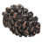 Oil Rub Bronze
