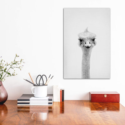 " Ostrich " by Sisi & Seb
