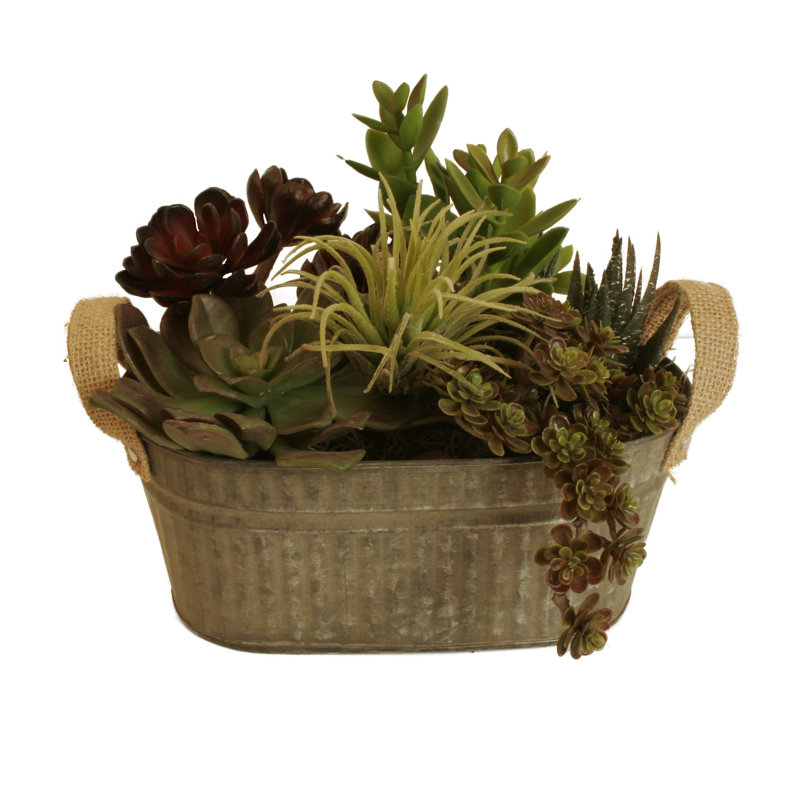Pot à fleurs en aluminium Durlston, H 3,75 po x l 9 po x P 5,25 po