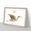 Crane & Bittern by Johan Teyler - Picture Frame Painting Print-55510594-55510596