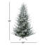 Sapin de Noël givré-63647327