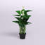 Plante de lis artificielle 31 po en pot