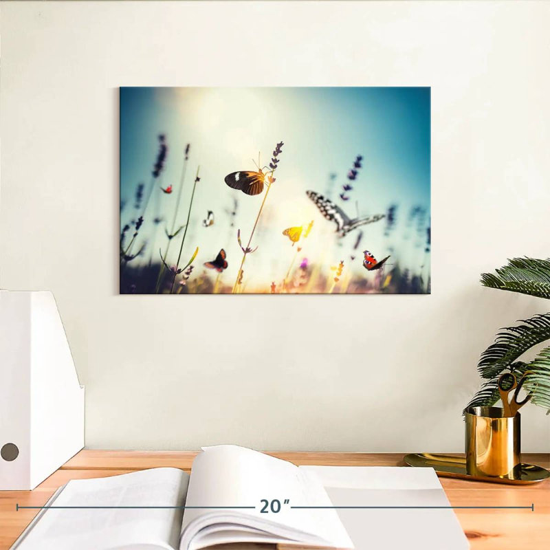 Jardin de papillons Brampt, H 8 po x l 12 po