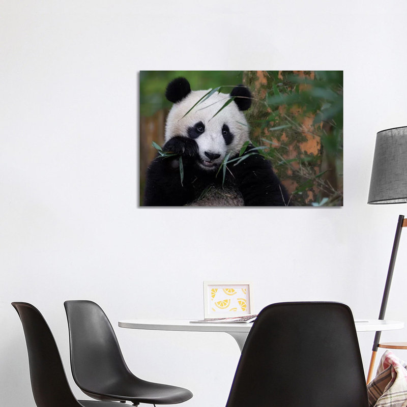 Bamboo Time by Alessandro Catta - Wrapped Canvas Painting, 101.6 cm H x 66.04 cm W x 1.91 cm D