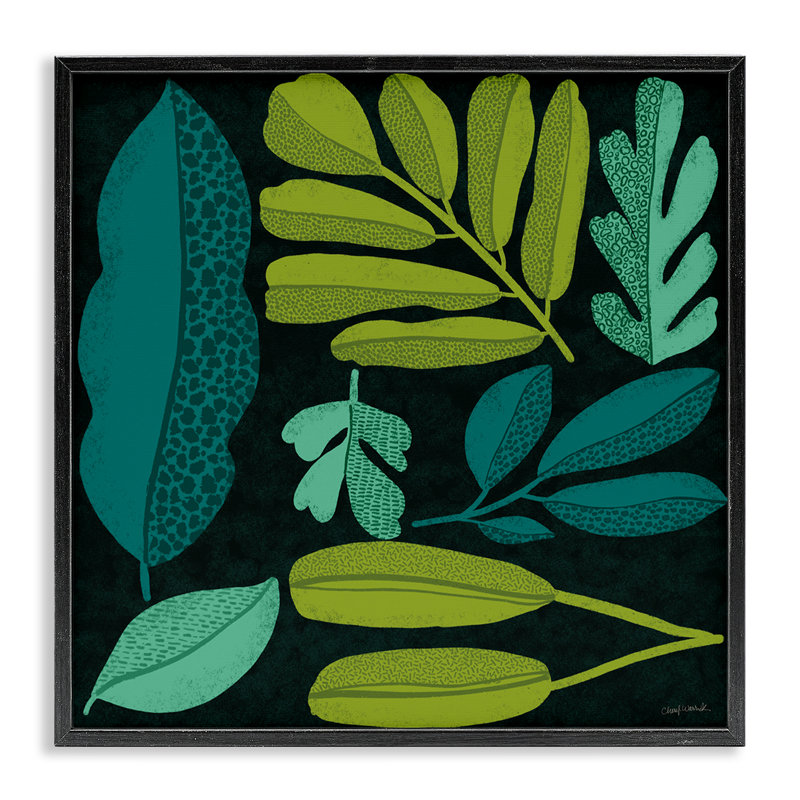  «Plant Toss Collage Giclee Art» par Cheryl Warrick, Giclée encadrée noir minuit, H 12 po x l 12 po