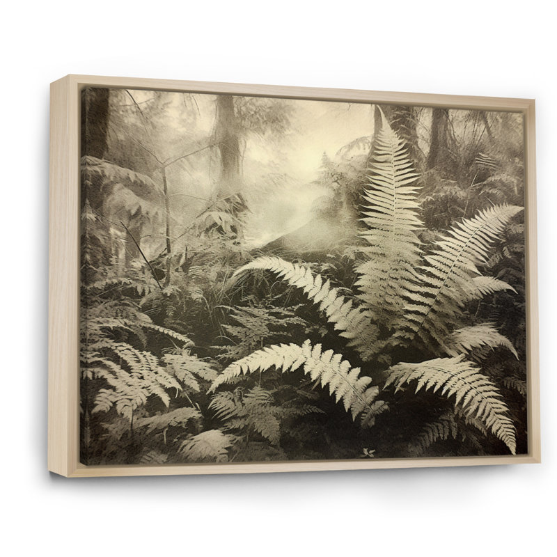 Green Fern Scenery V sur toile, H 24 po x l 32 po x P 1,5 po, Cadre naturel flottant