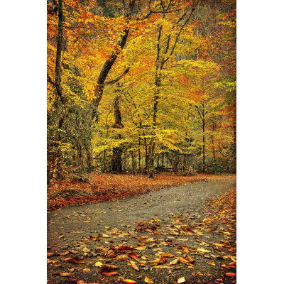 Chemin à travers l'automne