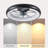 Ceiling Fan with Lights Dimmable LED, high-performance fan-402150150