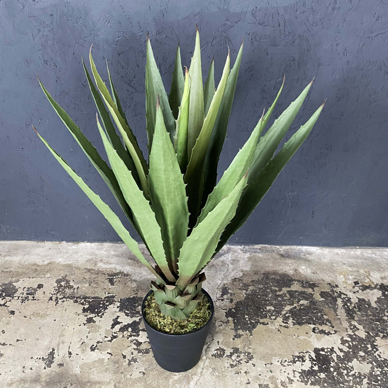 Fausse agave botanique au fini vert