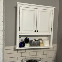 27 W x 29 H x 9 D Wall Mounted Bathroom Cabinet