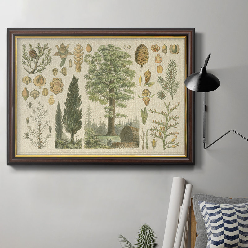 Collection Arbor - Toile encadrée de qualité supérieure - prête à être accrochée, H 24 po x l 36 po x P 2,5 po