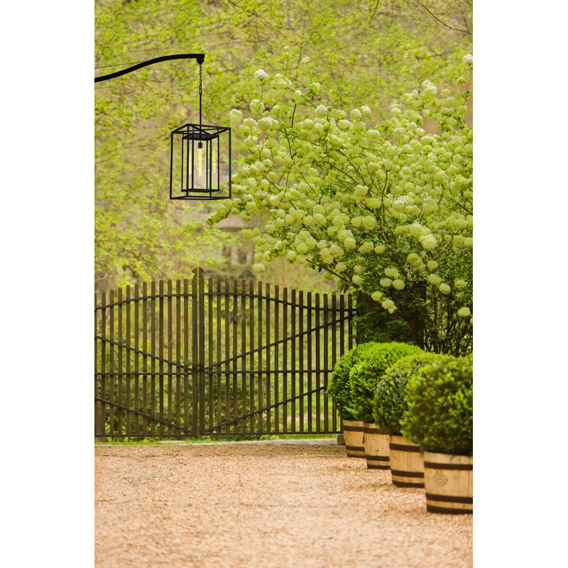Luminaire suspendu pour l'extérieur Max, Bronze