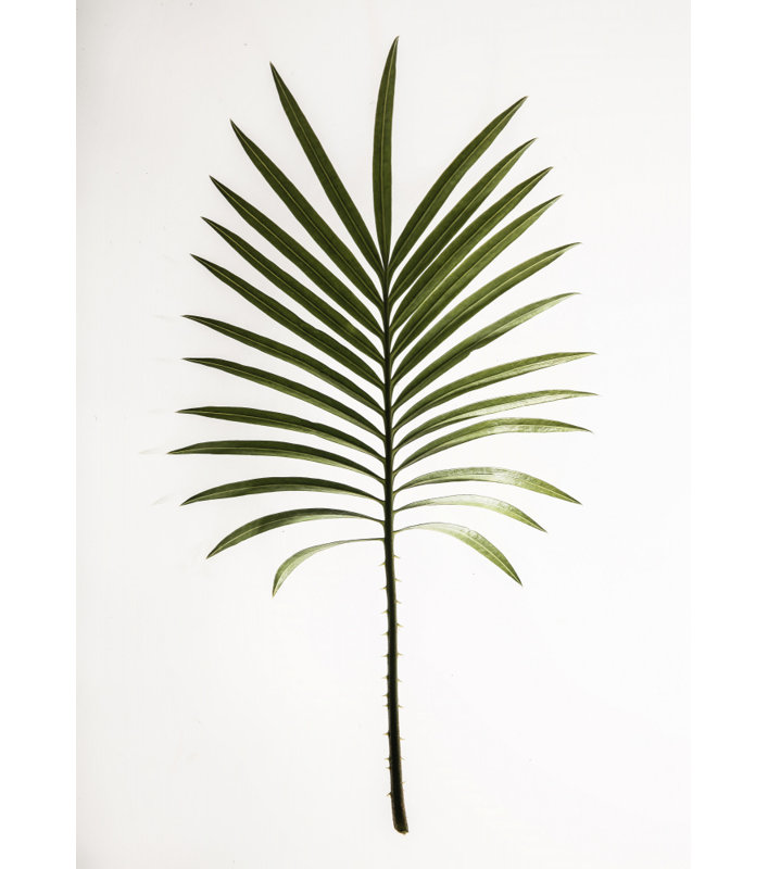 Wrapped Canvas Print, 60.96 cm H x 91.44 cm W