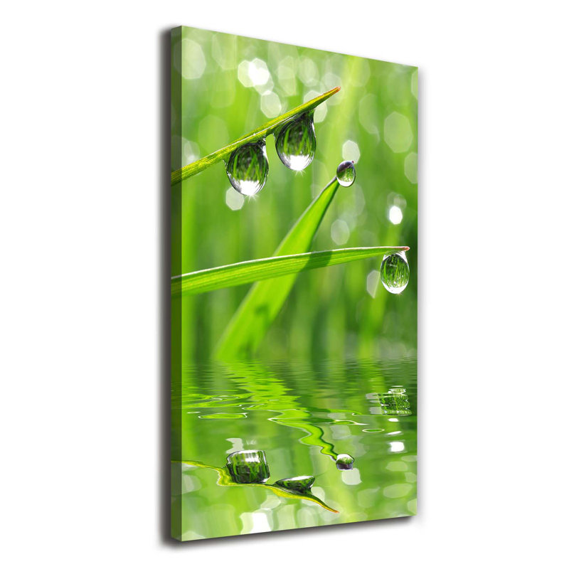 Blades Of Grass - Wrapped Canvas Print