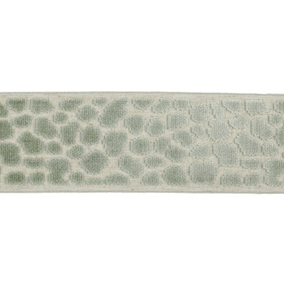 Tissu