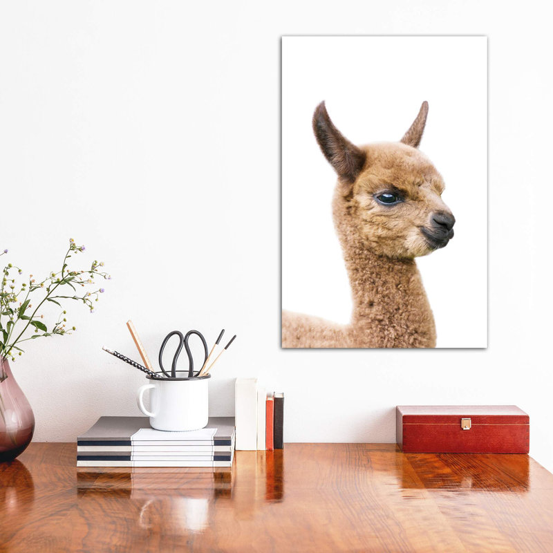 «Baby Llama» par Sissi & Seb - reproduction de photo, Toile tendue, Pas de tapis, H 18 po x l 12 po x 1,5 po