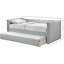 Lissett Twin Daybed with Trundle-98055096