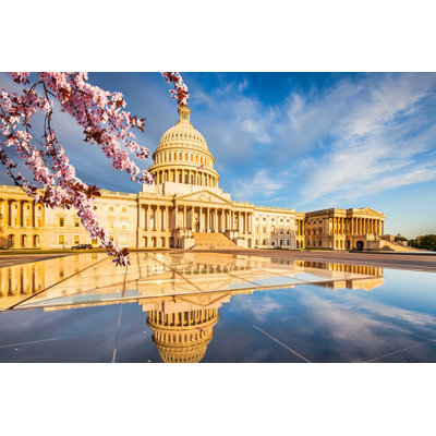 " Washington Dc "