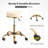 Adjustable Salon Stool-631019092
