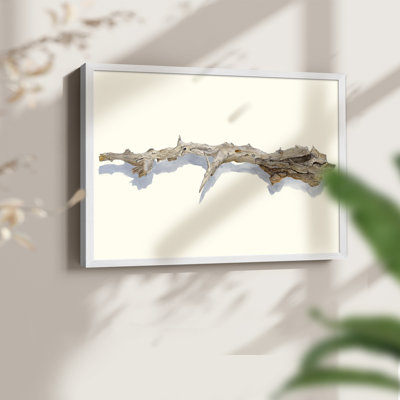 «Driftwood Study I», reproduction encadrée
