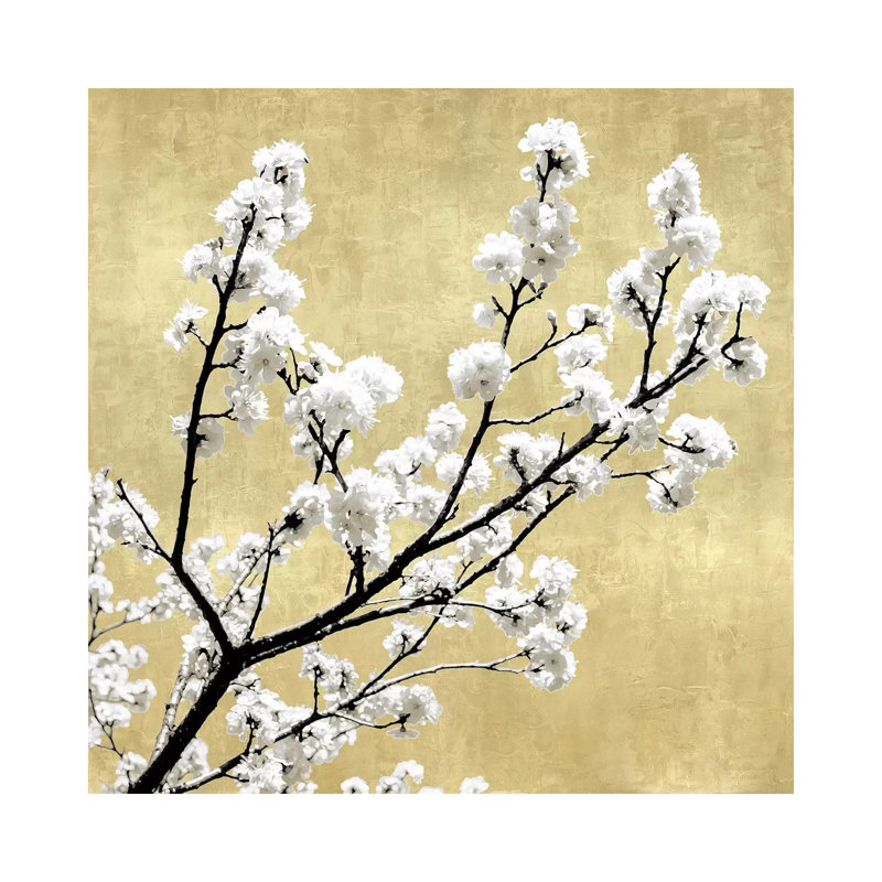Blossoms On Gold II by Kate Bennett - Print on Canvas, 30.48cm H x 30.48cm W x 1.91cm D, Wrapped Canvas