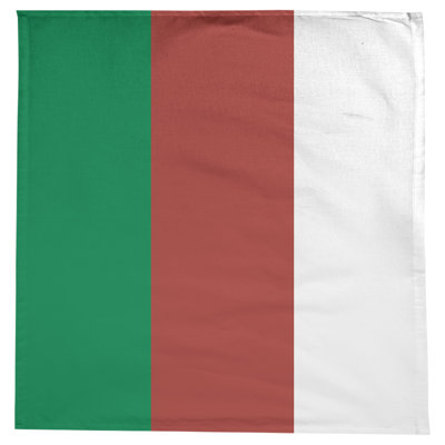 Boston Basketball Tablecloth