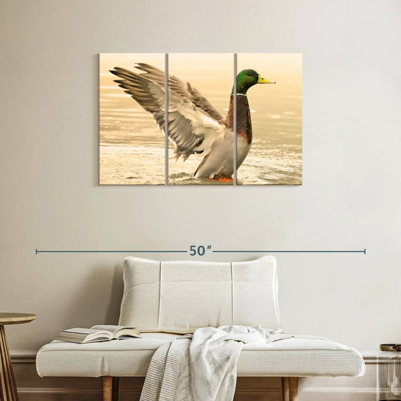 Canard colvert majestueux Brampt, H 24 po x l 38 po