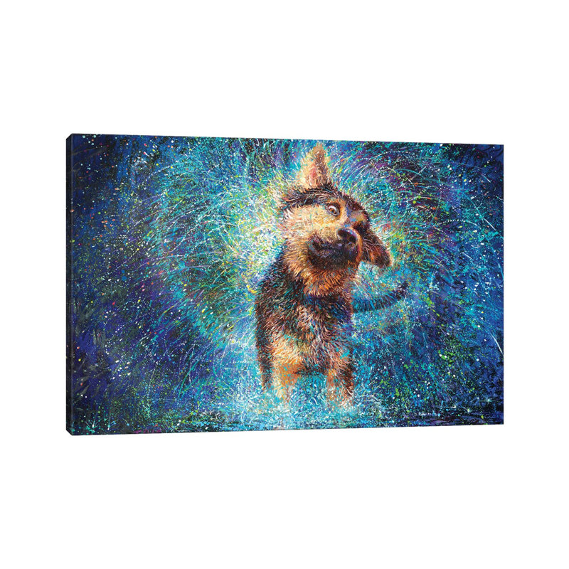 Salvador II by Iris Scott - Print on Canvas, Wrapped Canvas, 20.32 cm H x 30.48 cm W