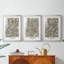 Ensemble de 3 pièces de la collection Dccmxcv de William Morroc-932270069-932270071