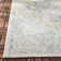 Danya Aqua/Cream Indoor/Outdoor Area Rug