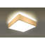 Brescia Plastic Flush Mount-50605450