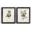 Oiseau antique, botanique et œuf I - ensemble de 2 reproductions d'art sur papier encadré-1329192741-1329192760