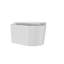 Toilette murale Deervalley DV-1F0379, conception sans rebord, double chasse à haut rendement 1,1 / 1,6 GPF, compatible avec réservoir dissimulé, cuve allongée compacte, céramique blanche, peu encombrante, luminaire de salle de bain moderne