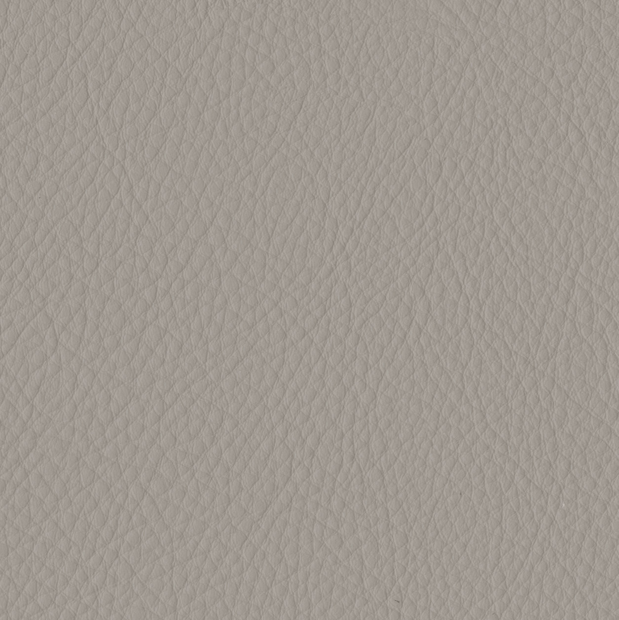 Elan LightGrey Sample