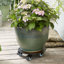 Dallas Esprit Indoor Ceramic Pottery Kit