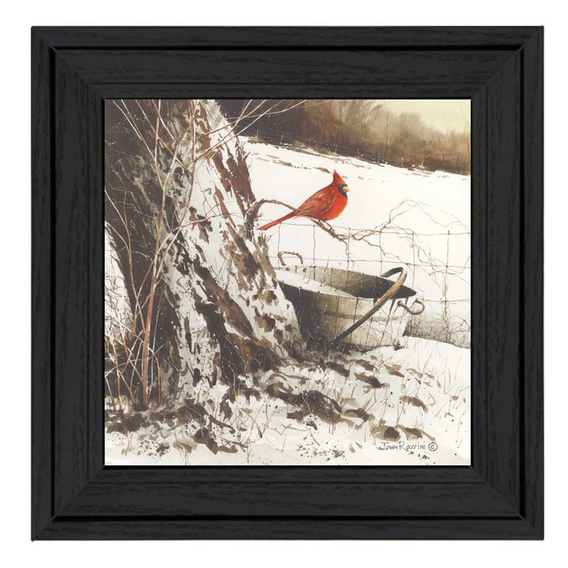 « country cardinal »-cadre photo, impression sur papier