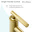 Robinet de salle de bain Avallon-60652757