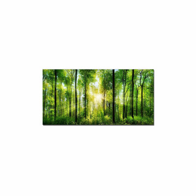 Printemps forêt lever du soleil chambre salon décor à la maison arbres verts nature paysage ensoleillé photo toile art mural salon décoration murale grande œuvre d'art cadre 20 x 40 pouces